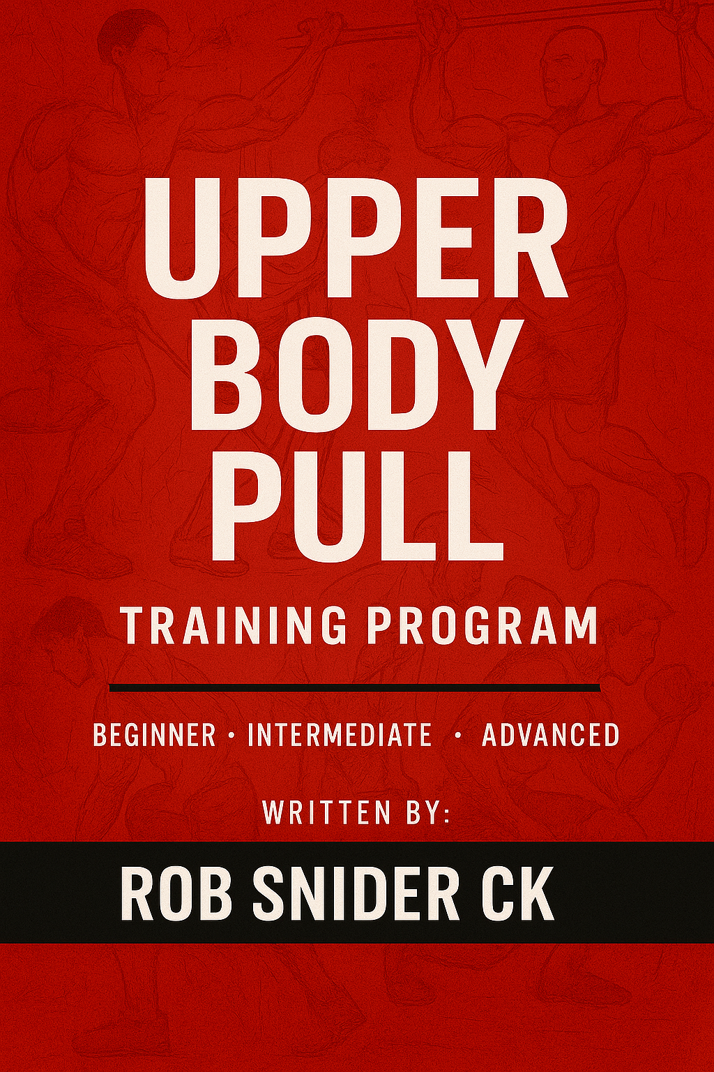 UPPER BODY PULL TRAINING PROGRESSION PLAN