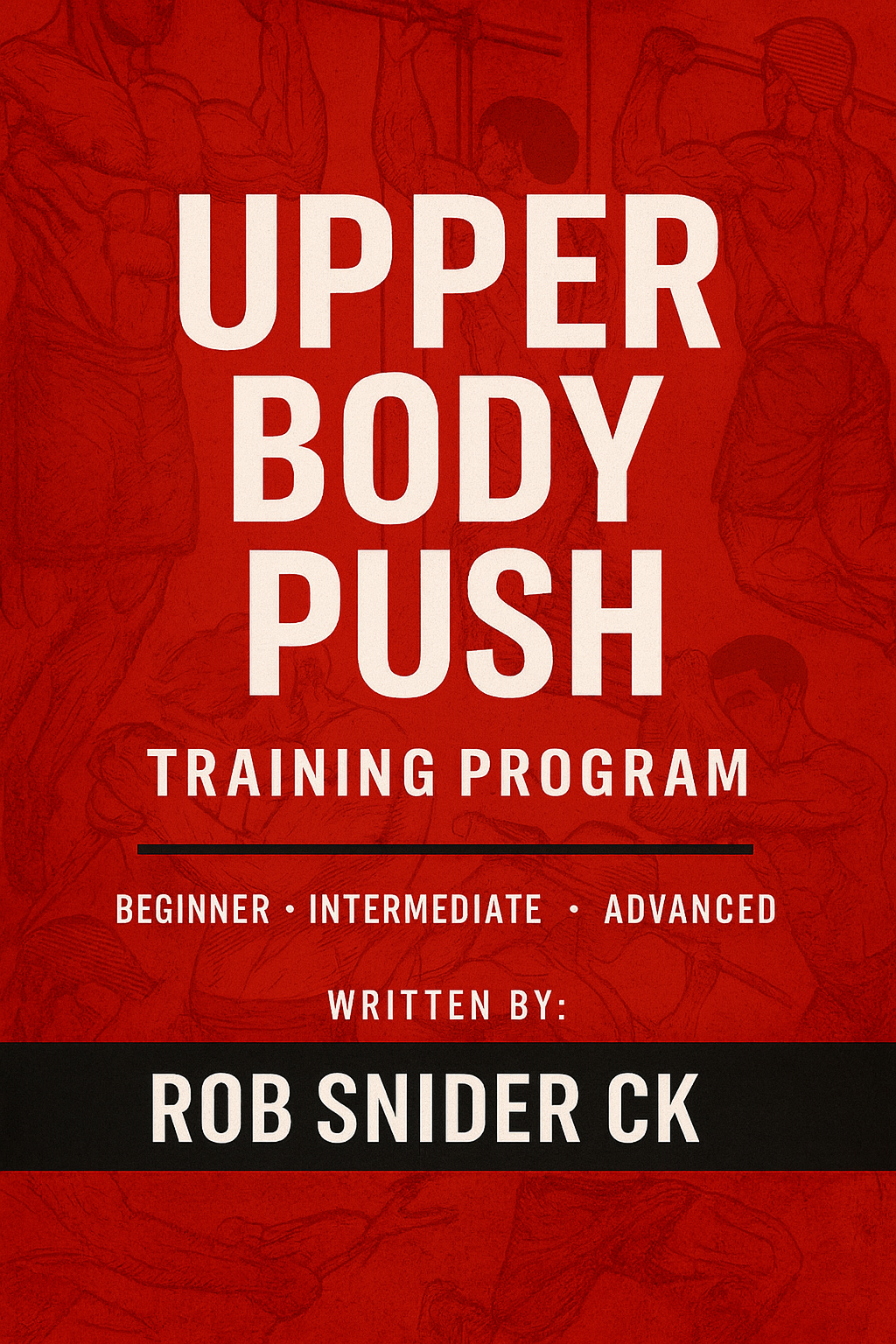 UPPER BODY PUSH TRAINING PROGRESSION PLAN